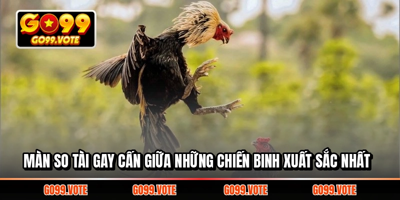 Màn so tài gay cấn giữa những chiến binh xuất sắc nhất